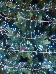 An image showing 240 cold white Cluster LED Christmas Lights on a silver wire against a backdrop of green Christmas tree branches.