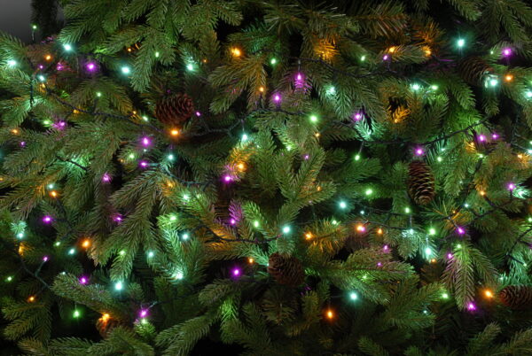 A Christmas tree with 520 Aurora Sparkle LED Lights on it.