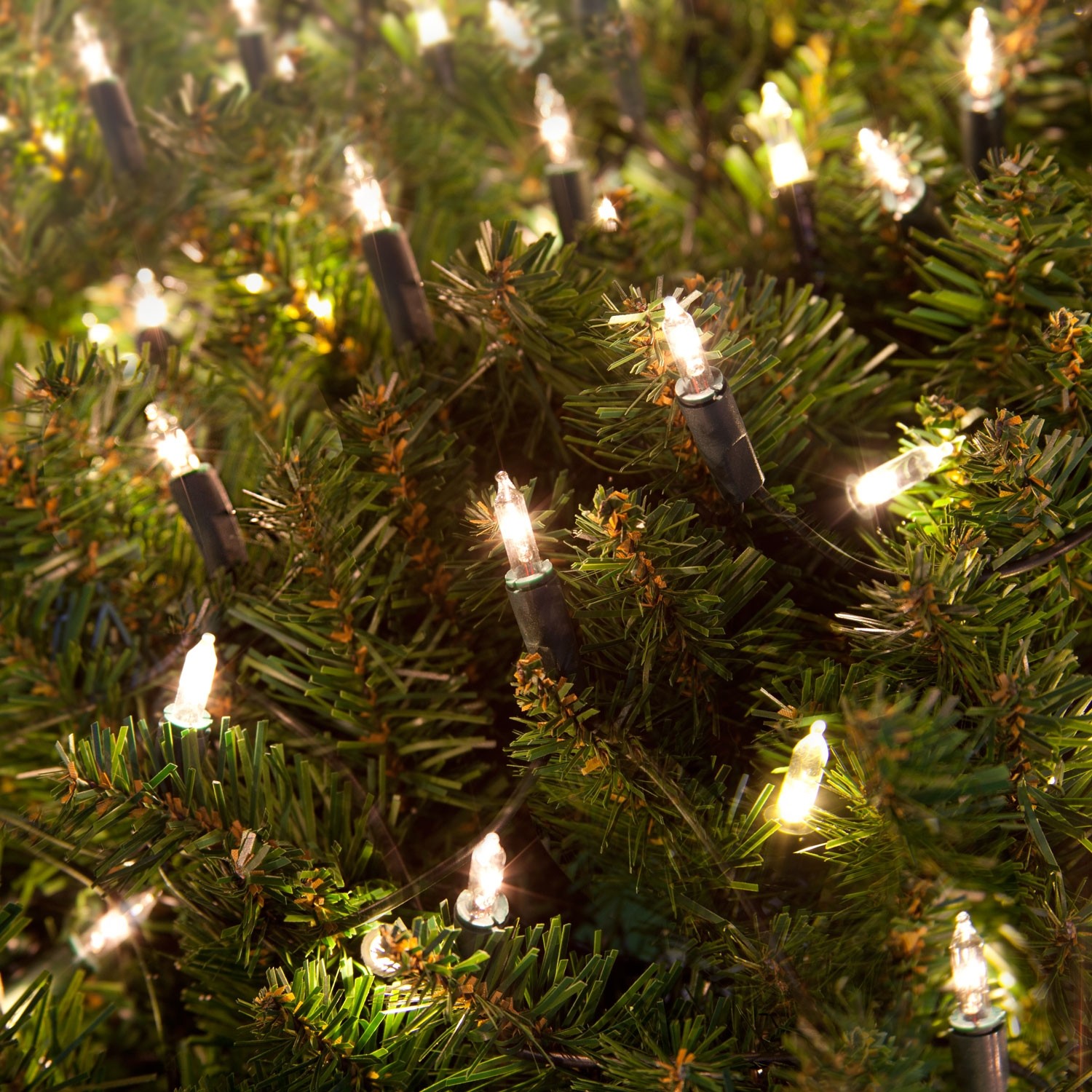 200 Clear Static Super Bright Fairy Lights -20m Simple traditional string of 200 bright white fairy lights on a green cable. 200 Fairy Lights Clear Bulbs Green Cable Loop Construction 10cm Bulb Spacing 1.5m Lead Wire Static 1.2v 0.24 W Bulb Rating 0.22W Fuse Bulb 48W Set rating Large Plastic Tub w/Red Lid & Handle Packaging